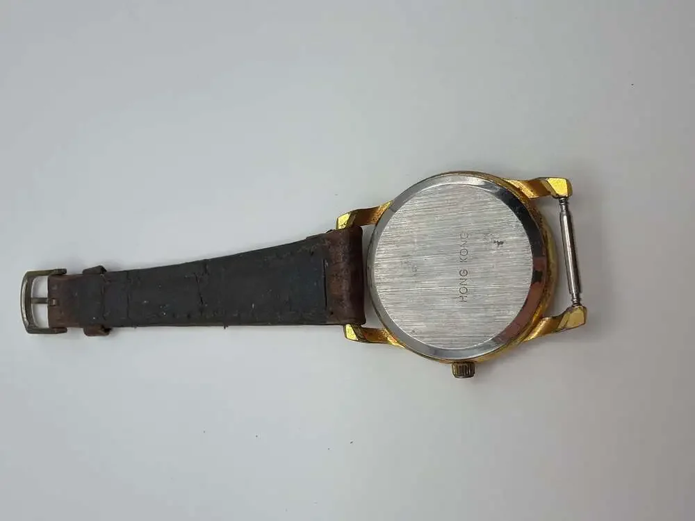Cadence Quartz Analog Wristwatch with Gold-Tone Case and Leather Strap